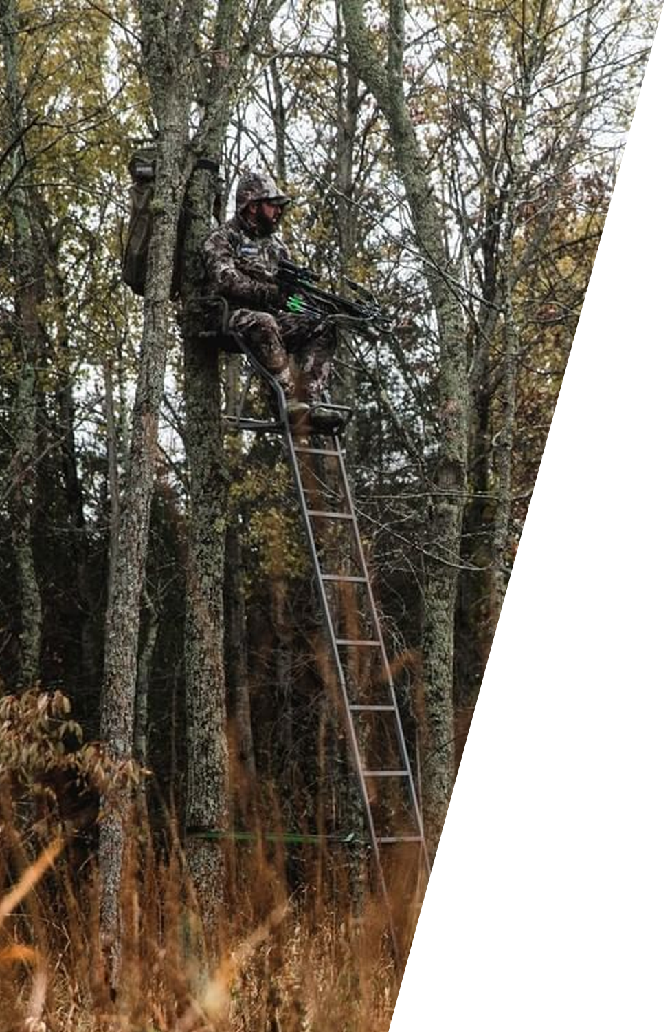 hunter in a tree stand
