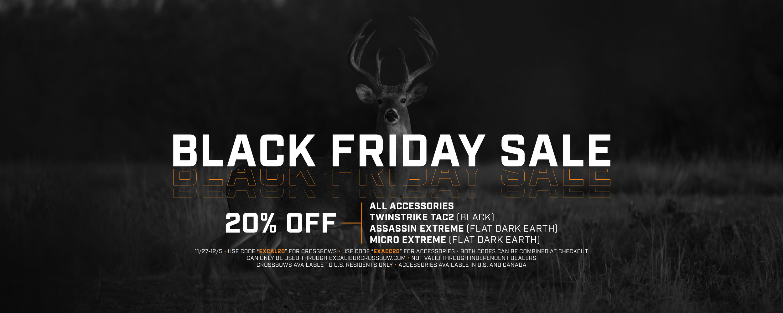 Black Friday Sale