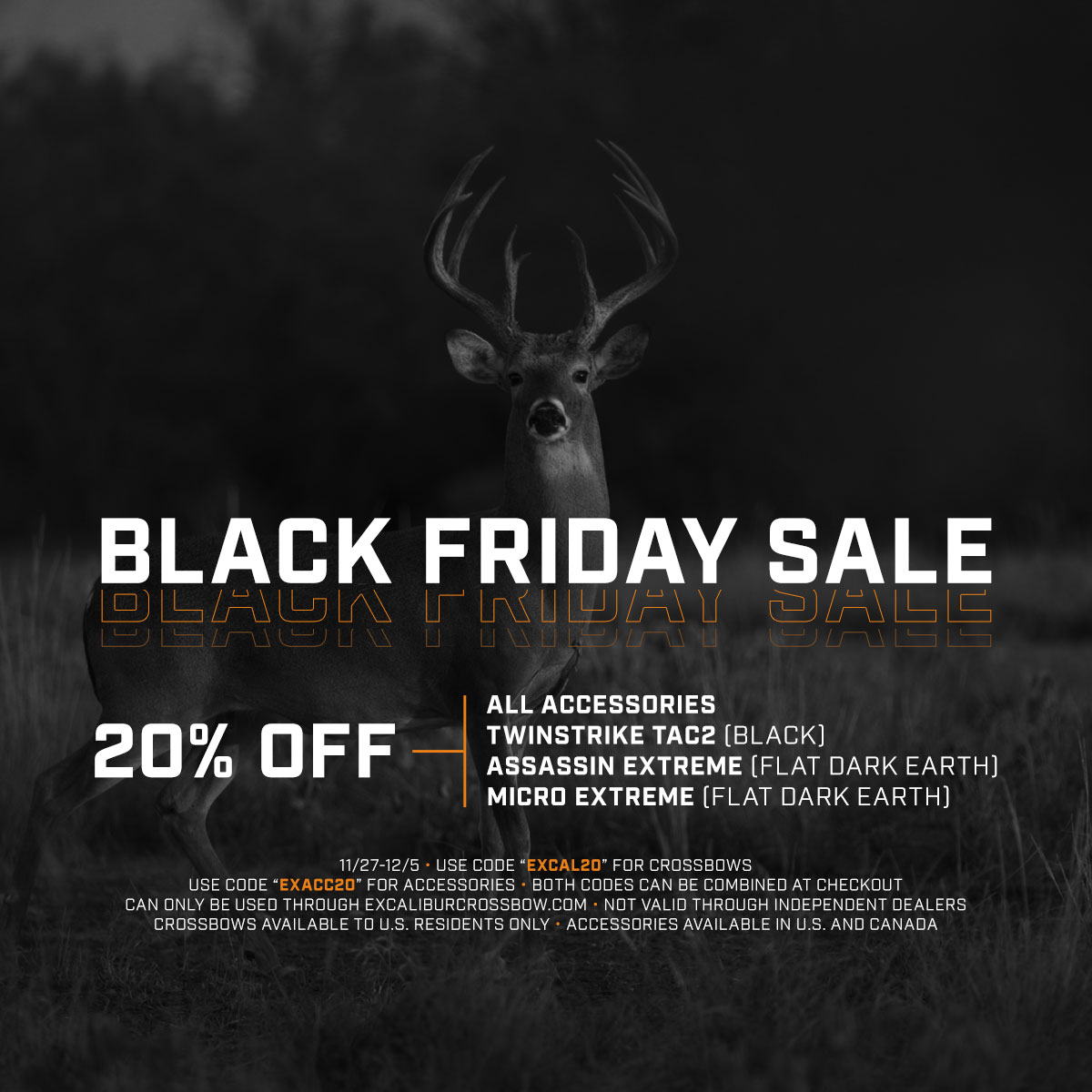 Black Friday Sale